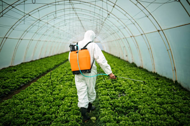Best Pest Control Near Me  in Chipley, FL